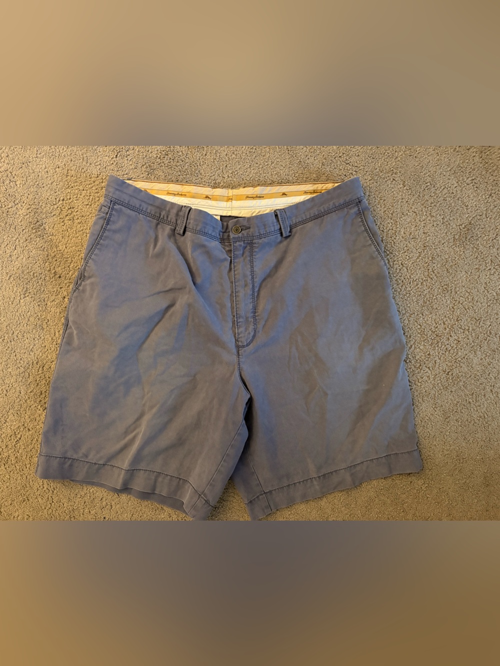 Tommy Bahama Men's Blue Flat-Front Casual Shorts
